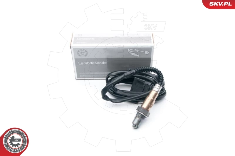Oxygen Sensor
